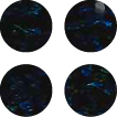 Holographic Black